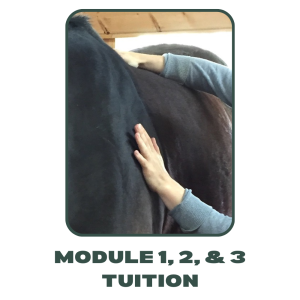 Equine Total Tuition Fee