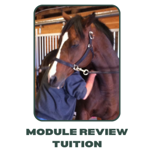 Module Review Tuition